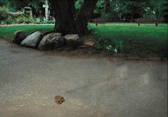 621096-e7024180bef6.gif