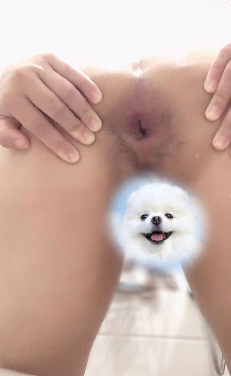 626270-b9a8bf15f2f8.png