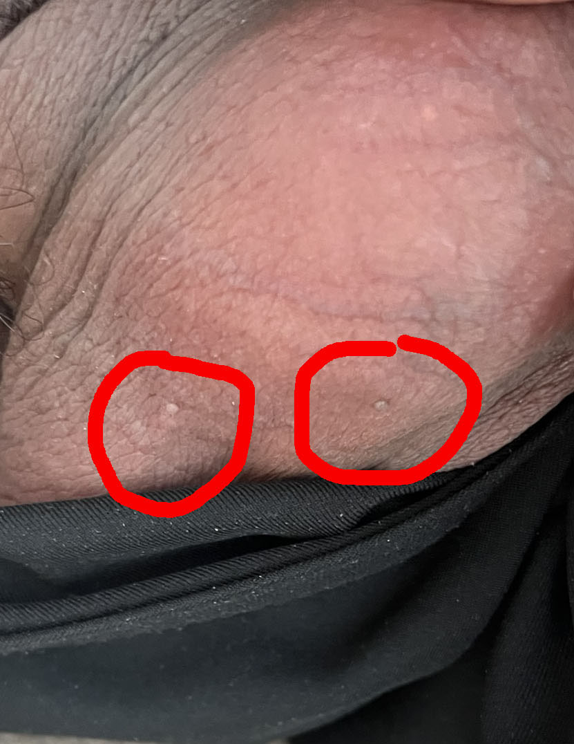 628203-e897652038be.jpeg