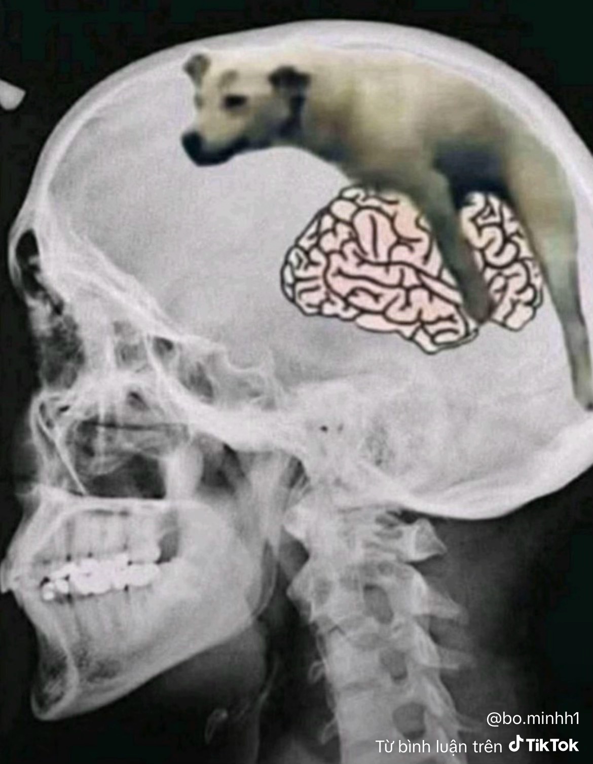 647803-e093d76f8e6a.jpeg