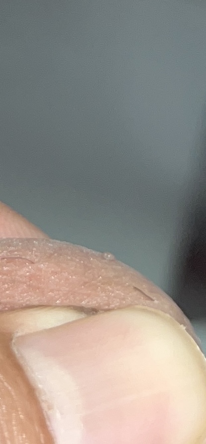 653480-1958a29d48df.jpeg