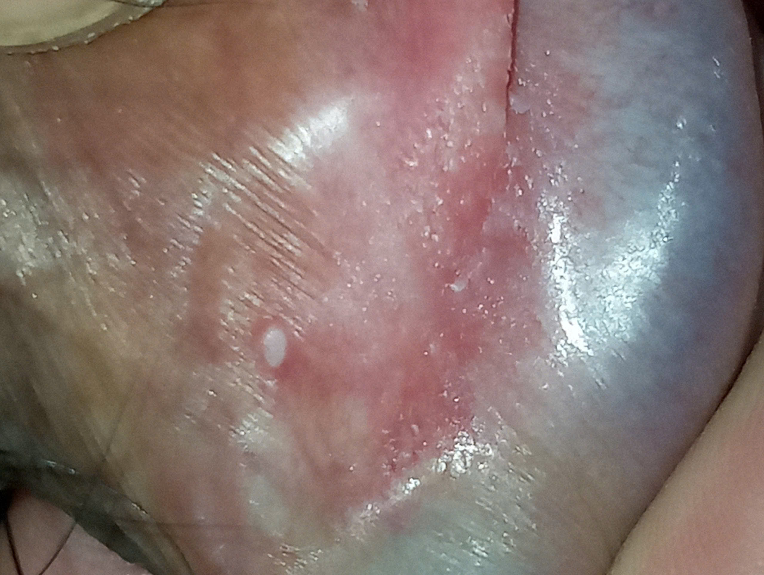 663806-fdcfe9ae6750.jpg