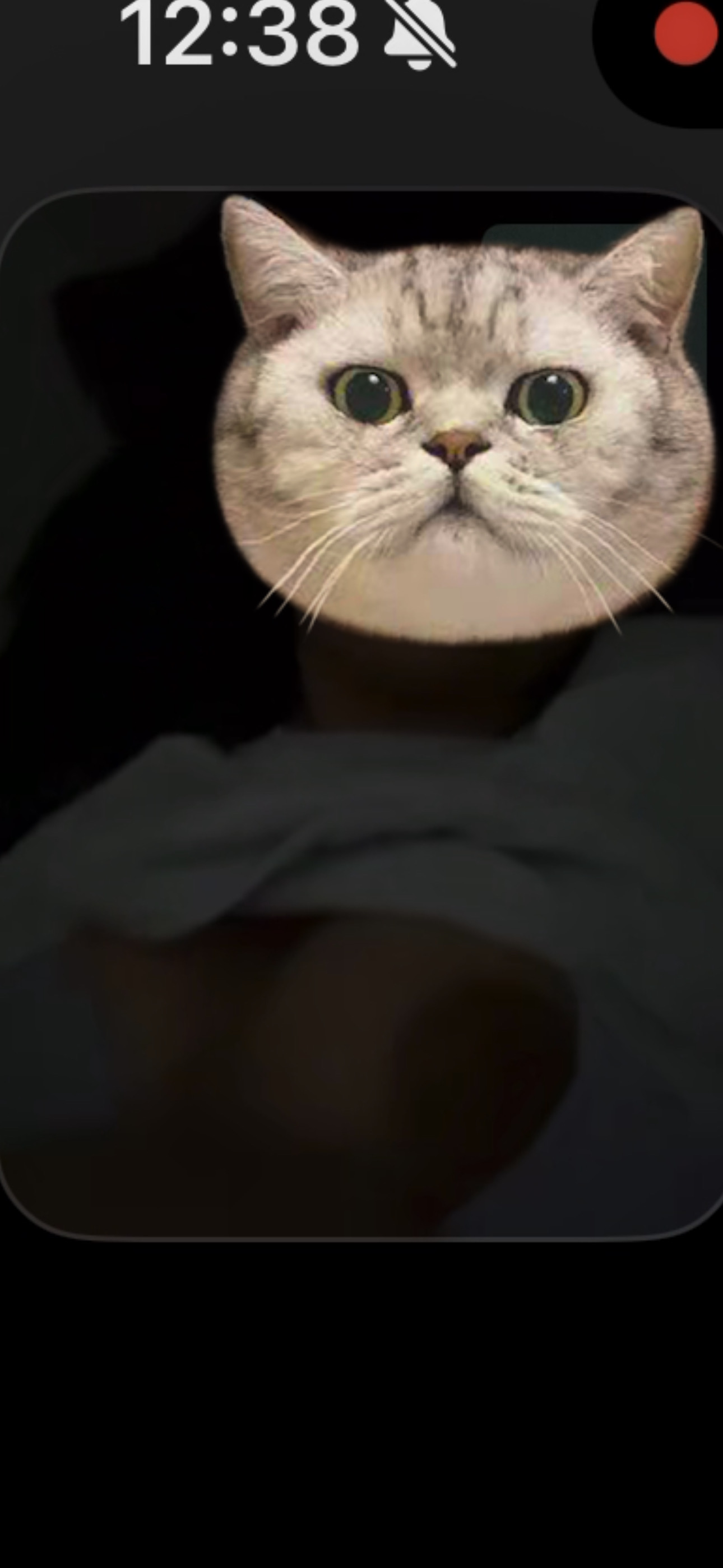 670325-6c636fc3c791.jpeg