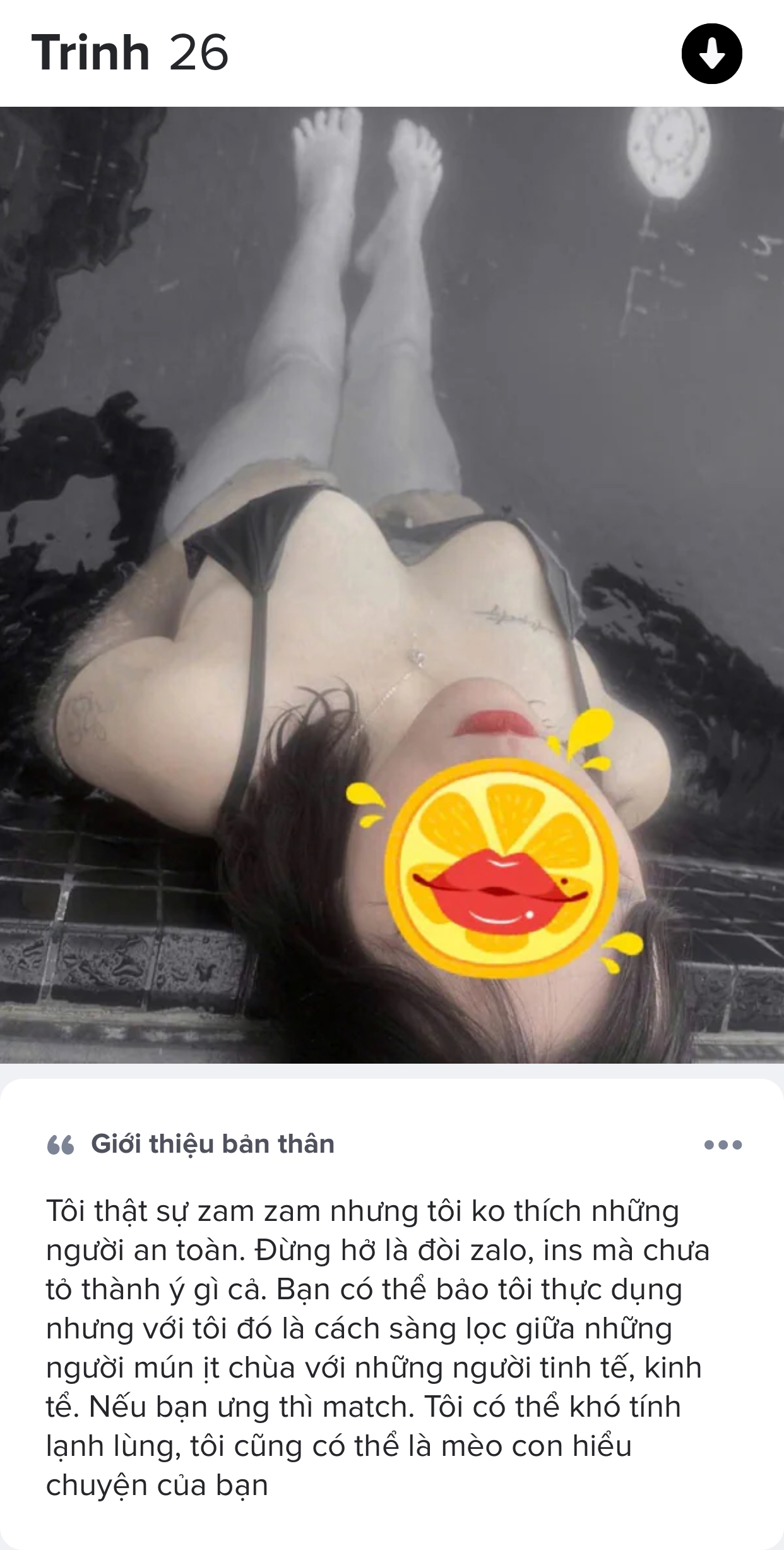 672326-e96869404c13.jpeg