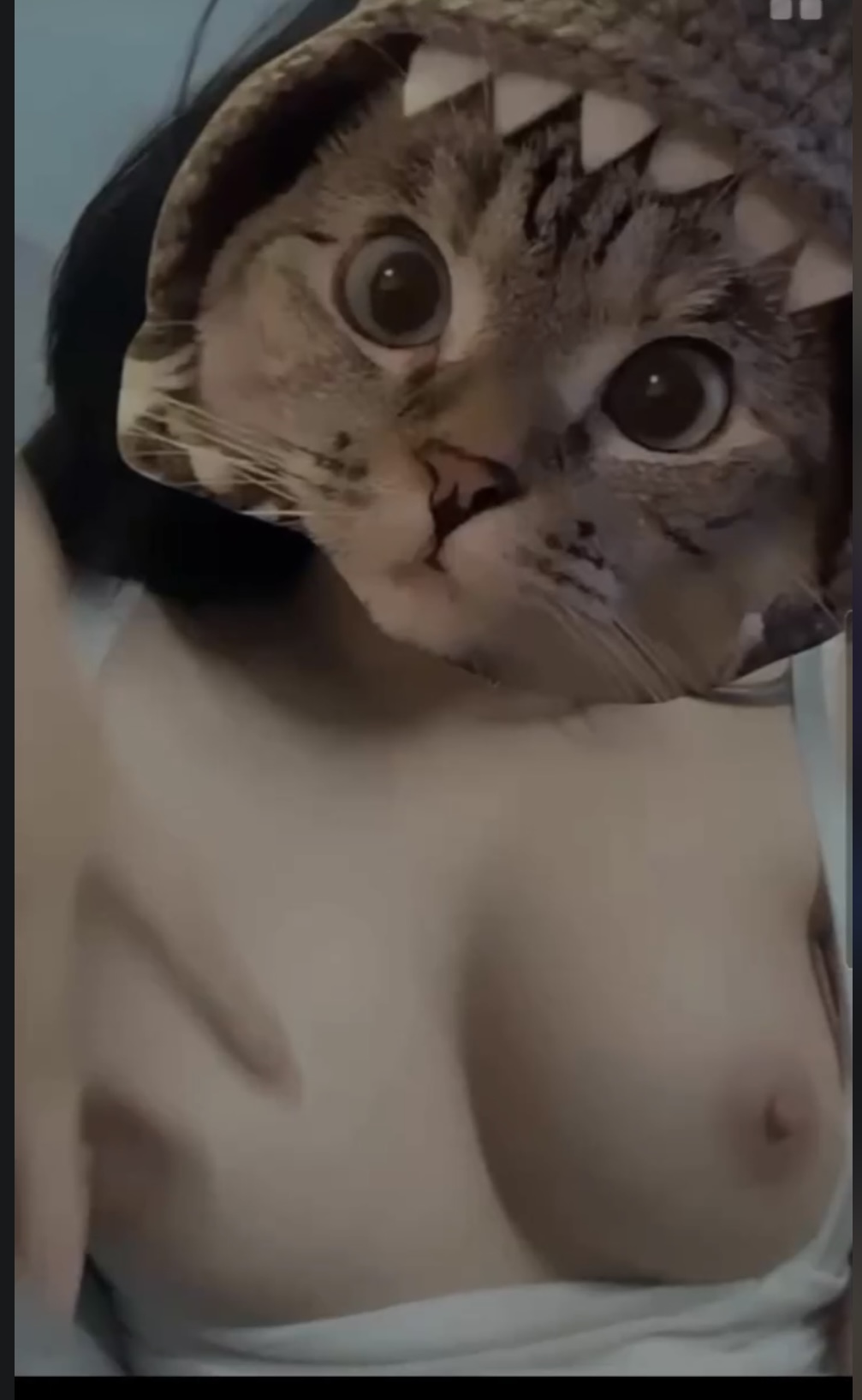 683498-93e455db2a10.jpeg