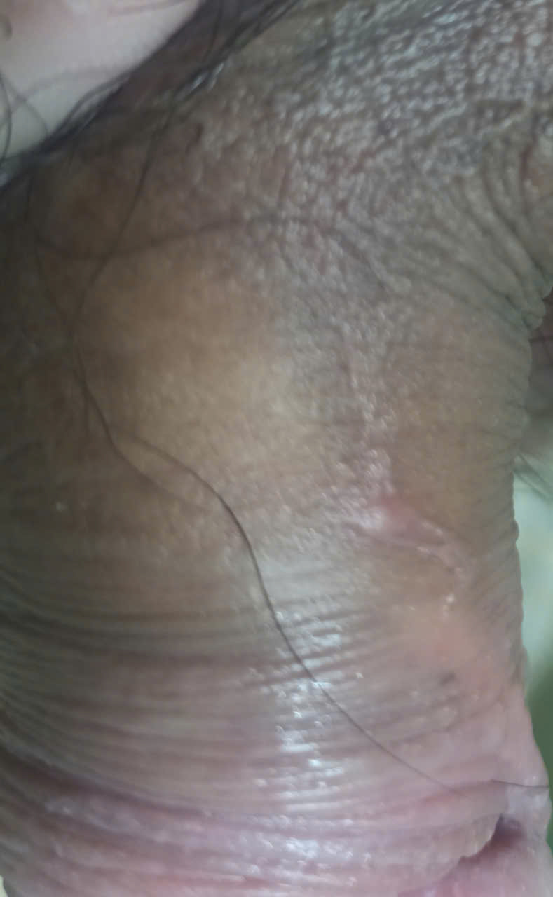 684424-92f85eb143eb.jpg