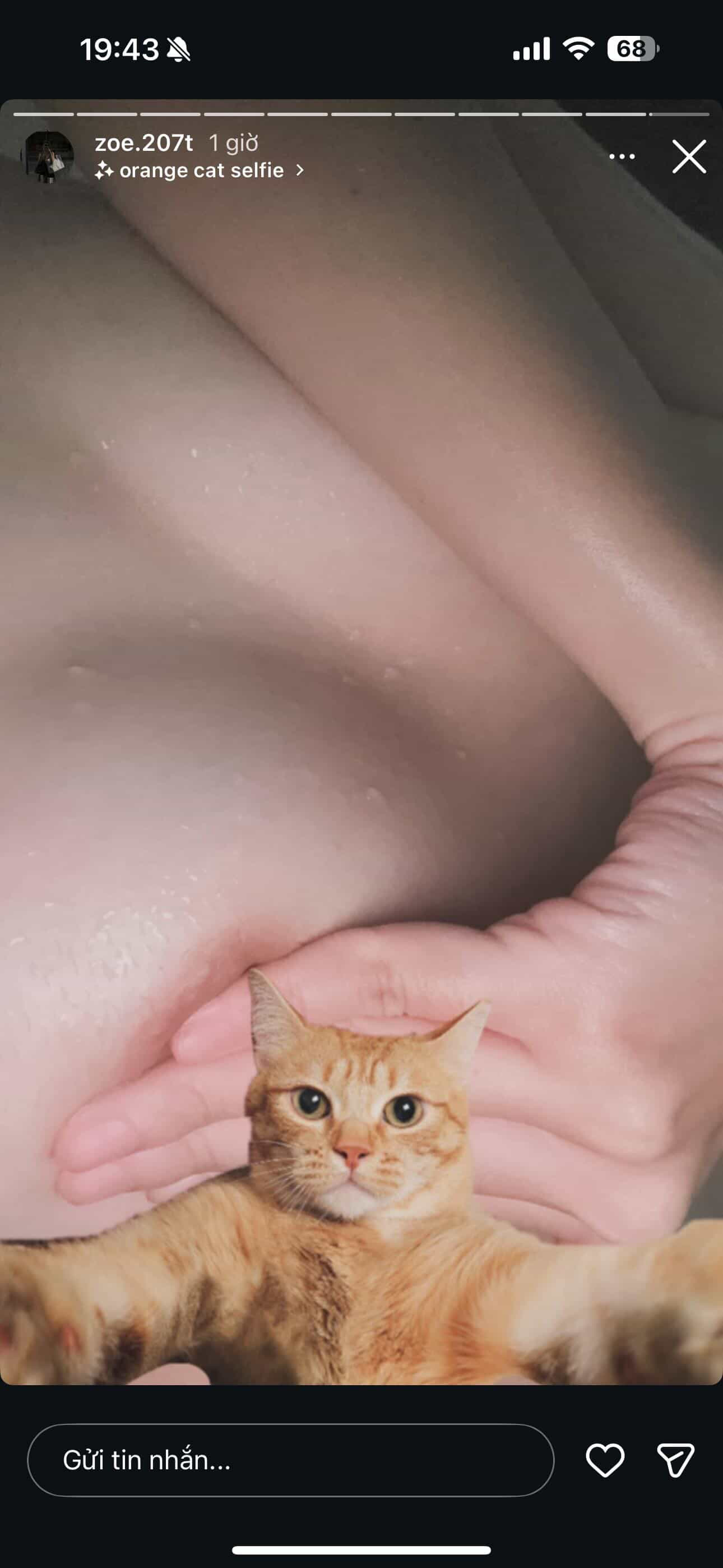 686369-1afbd0818066.jpeg