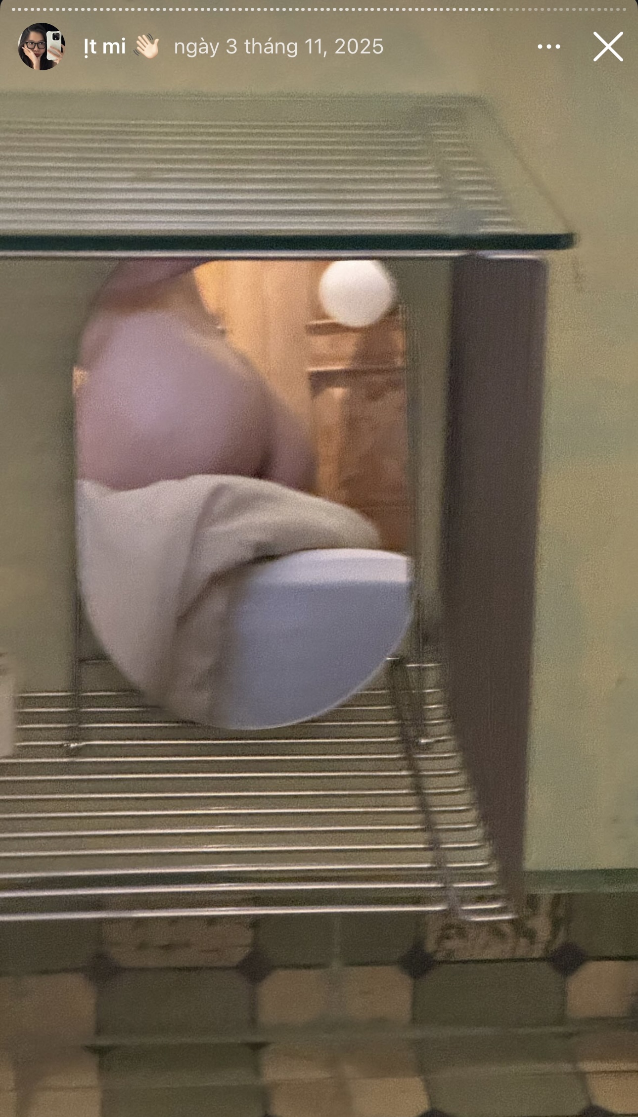 686397-90a81d076aa5.jpeg
