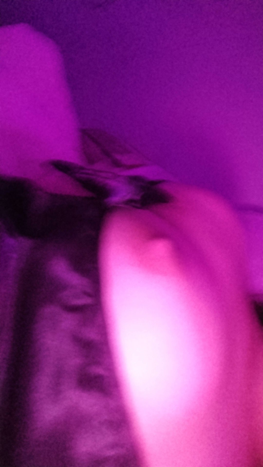 688206-17ddac9f5ec4.jpeg