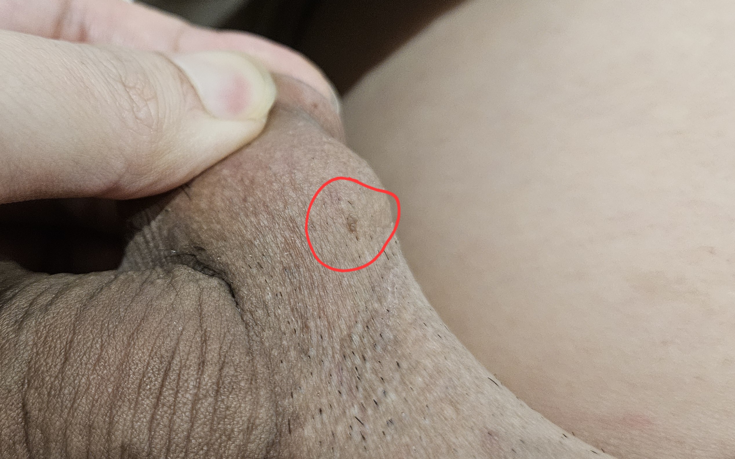690768-09940121bb40.jpg