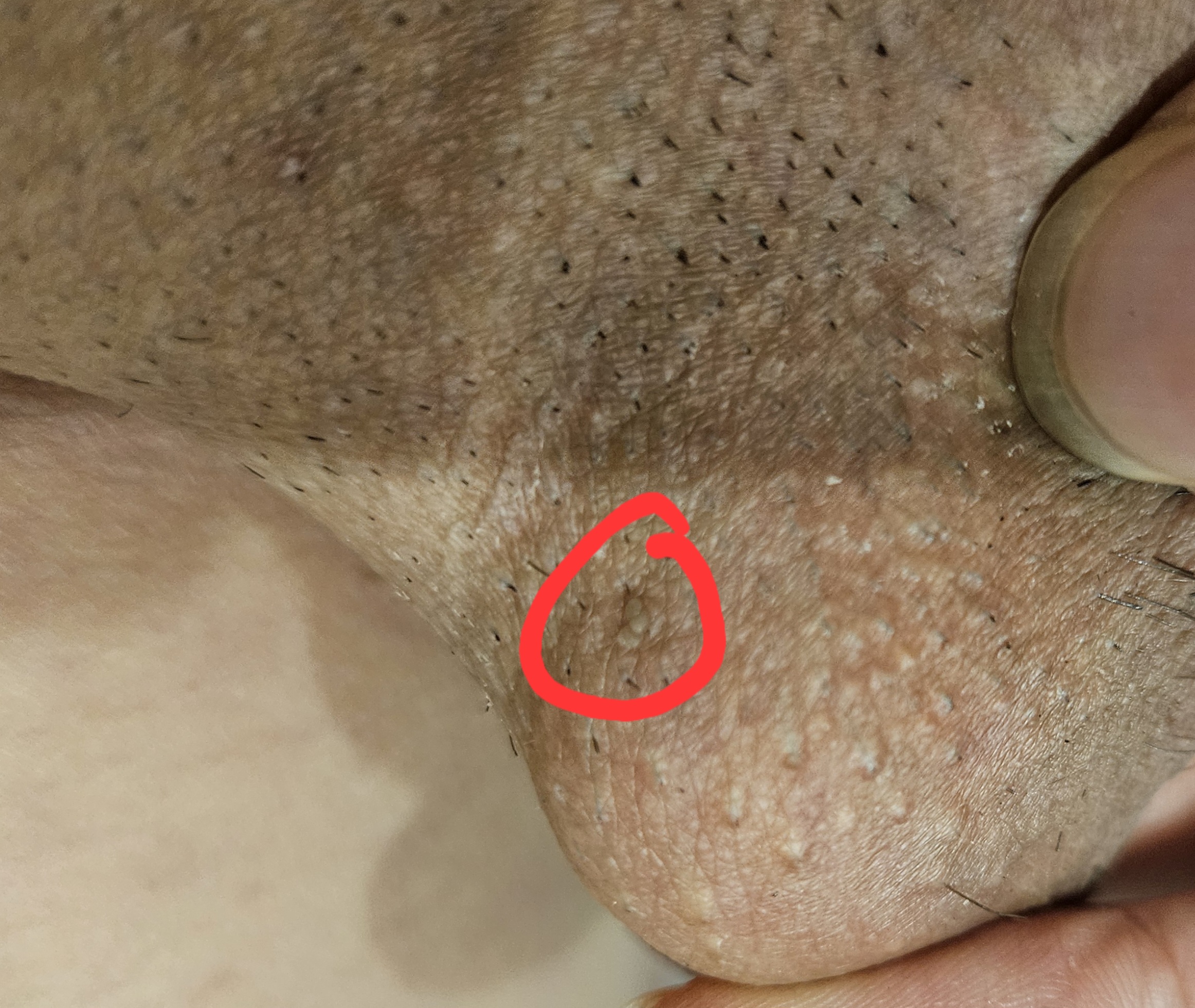 690769-6e08f430ea04.jpg