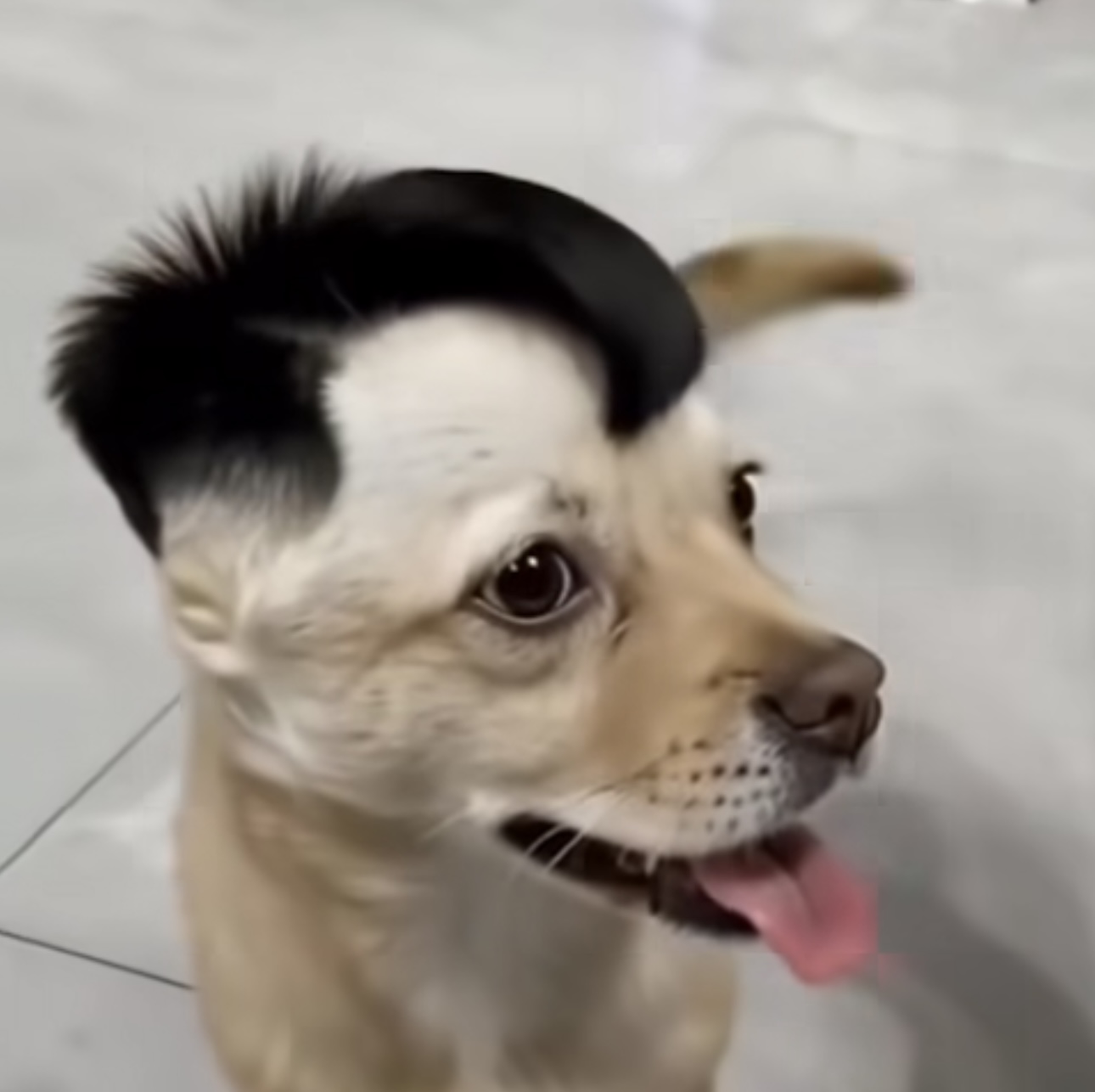 692757-c2e9e64457e8.jpeg