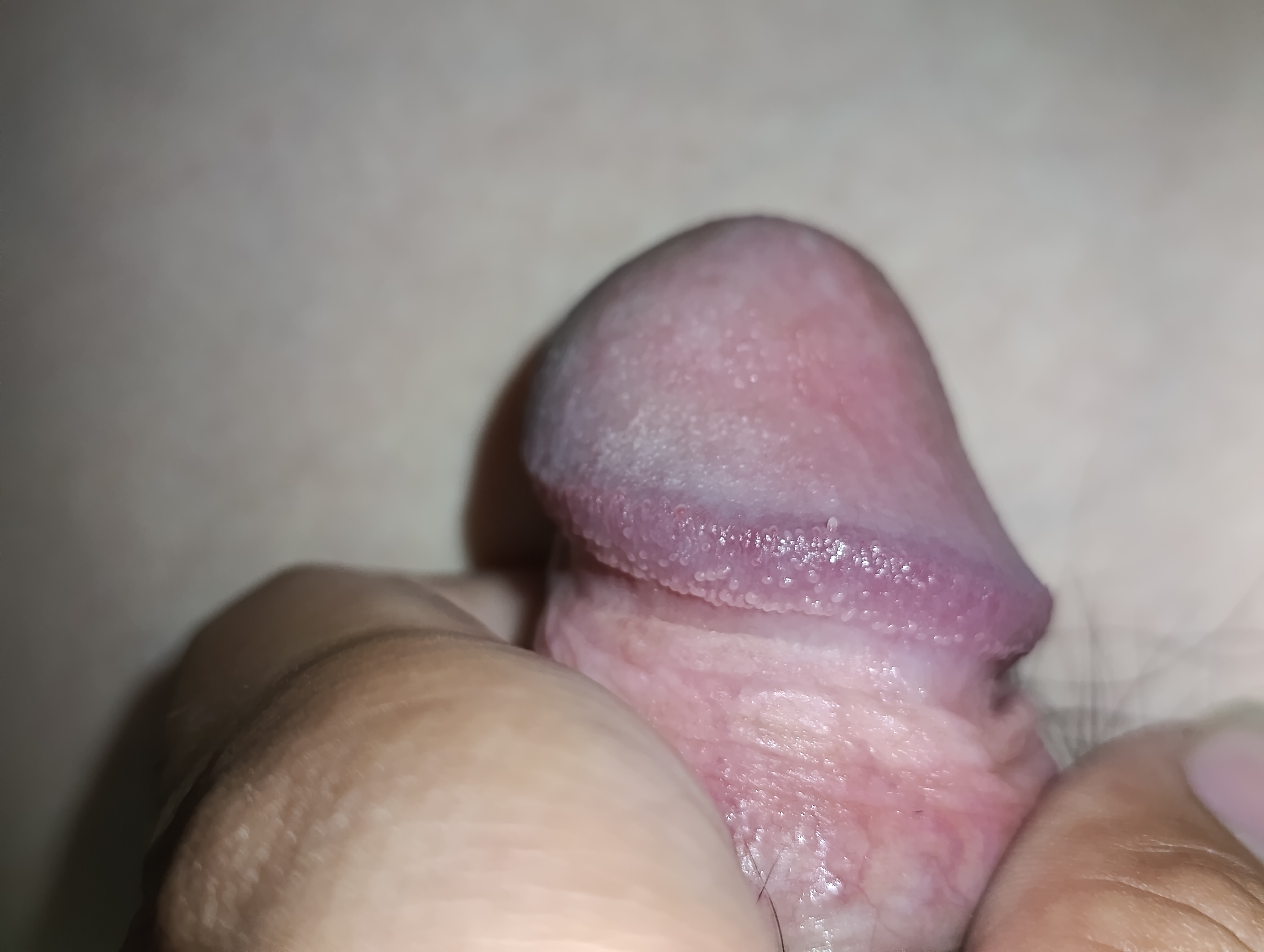 698411-166f8166de41.jpg