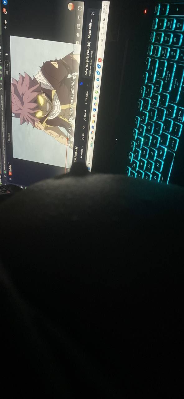 702469-4c273c95e343.jpeg