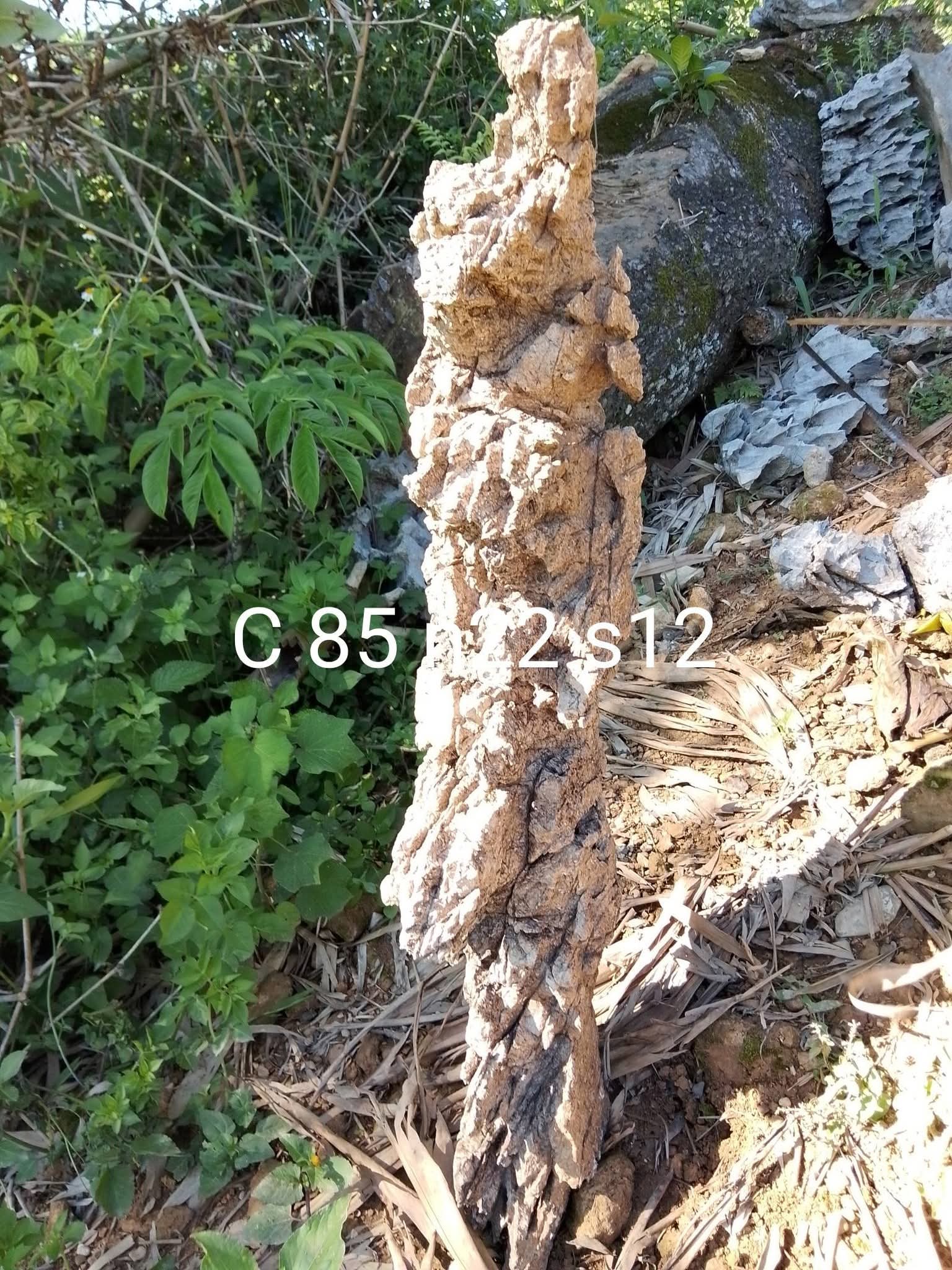 724369-3577729011bf.jpg