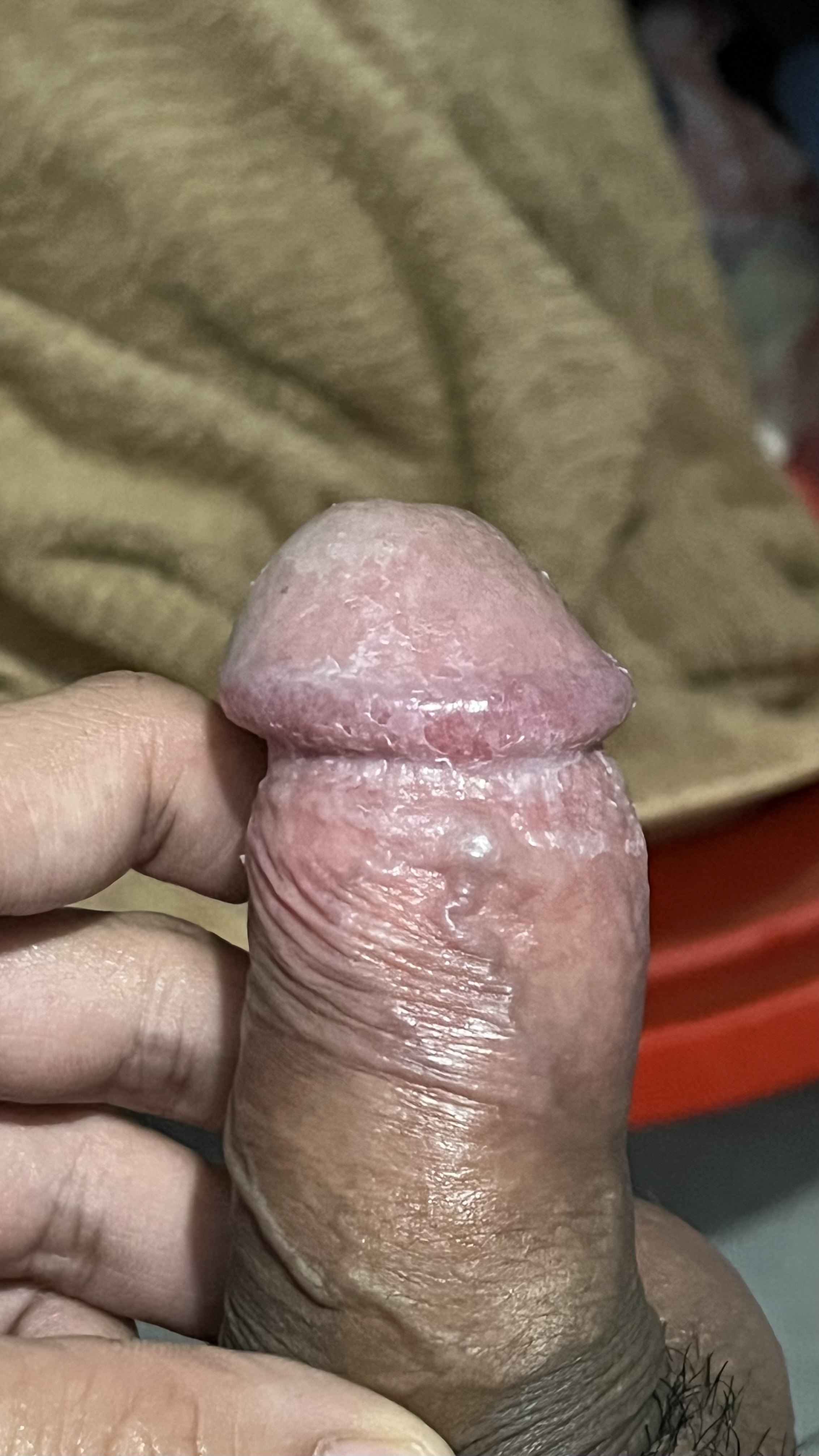 731598-46a1ee785ddc.jpeg