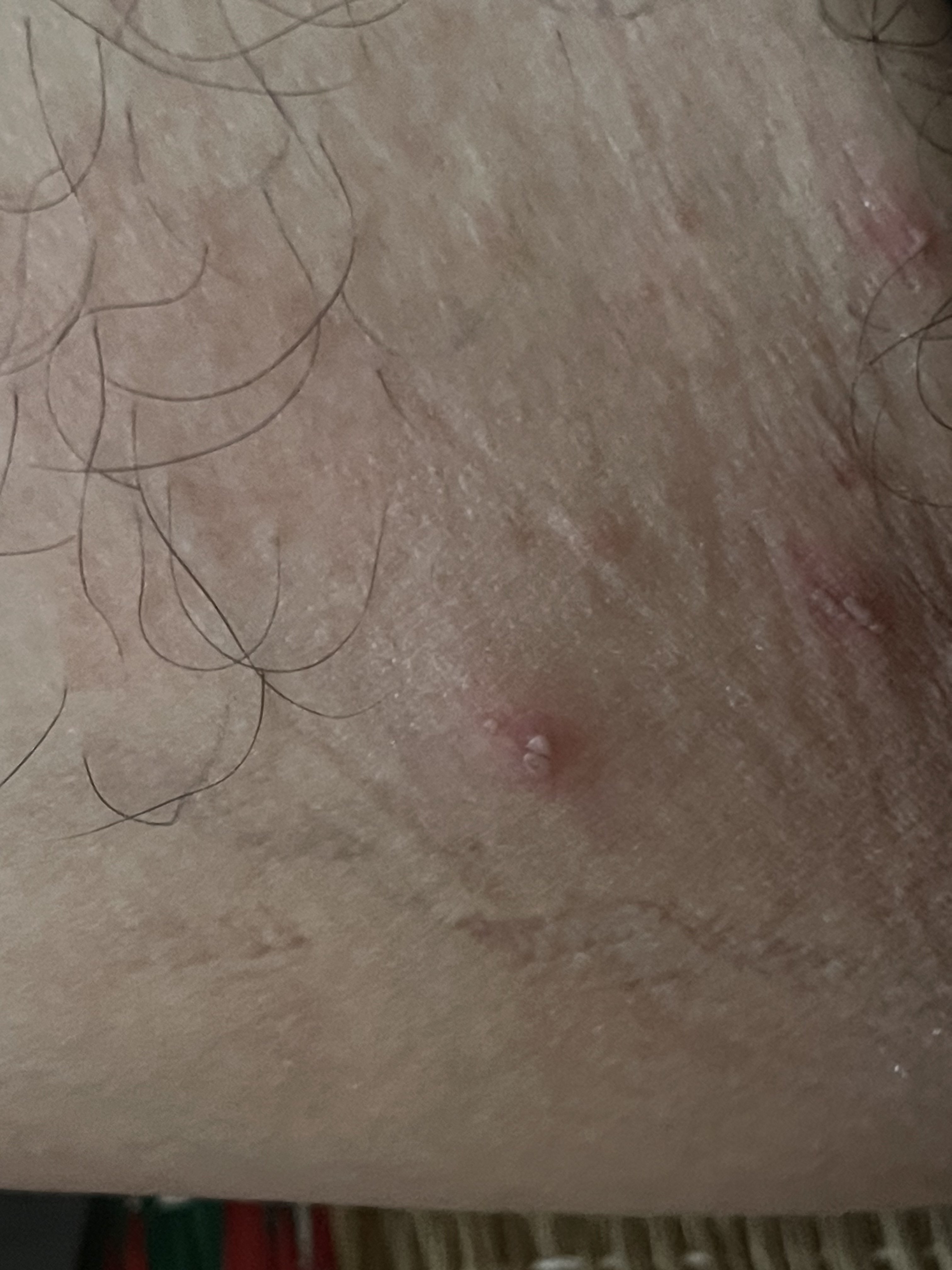733878-8243118acada.jpeg