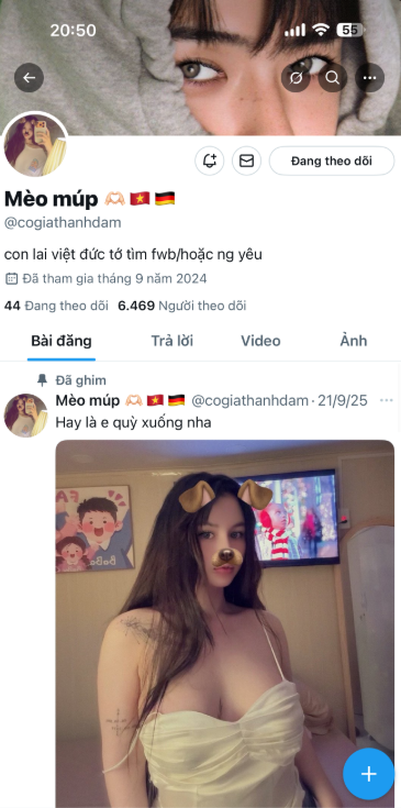 748369-4d9a80567c8d.png
