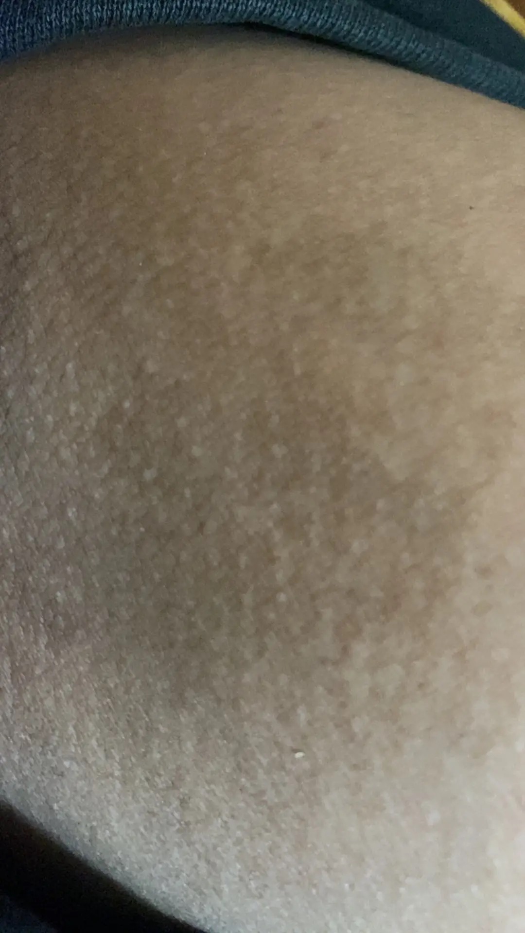 764511-a819d746045e.jpeg