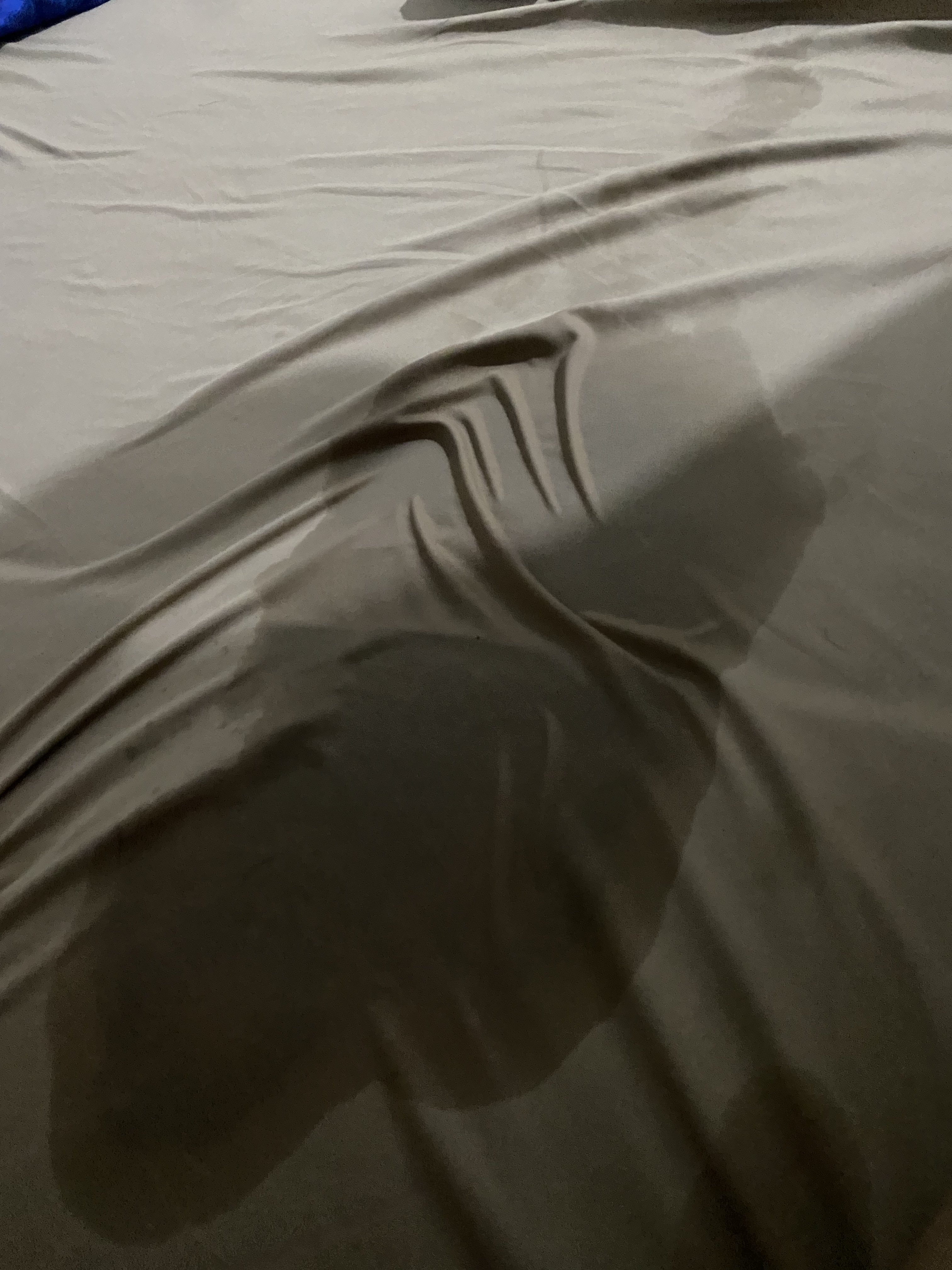 770396-027aeb883898.jpeg