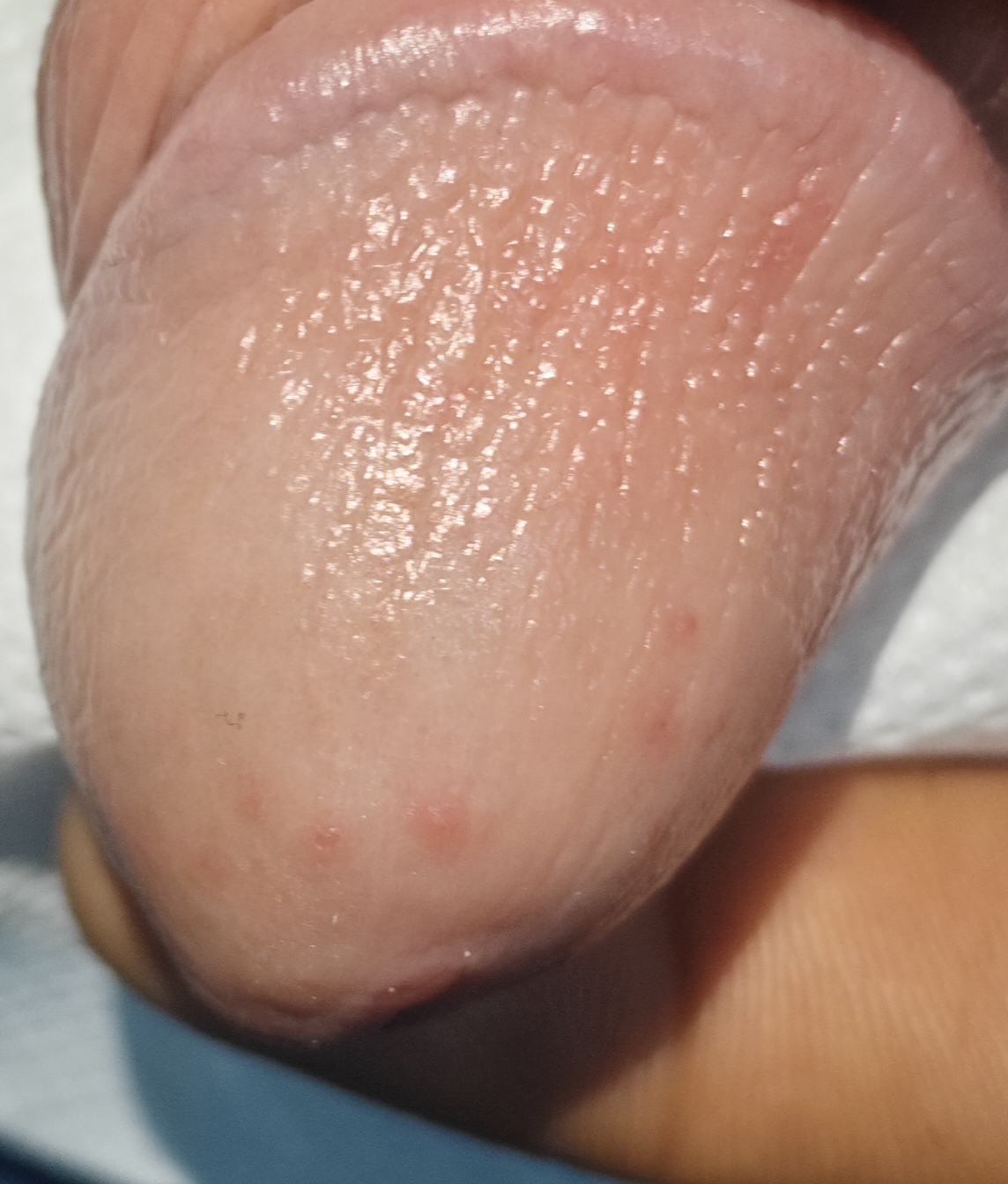 771863-c76799da7491.jpg