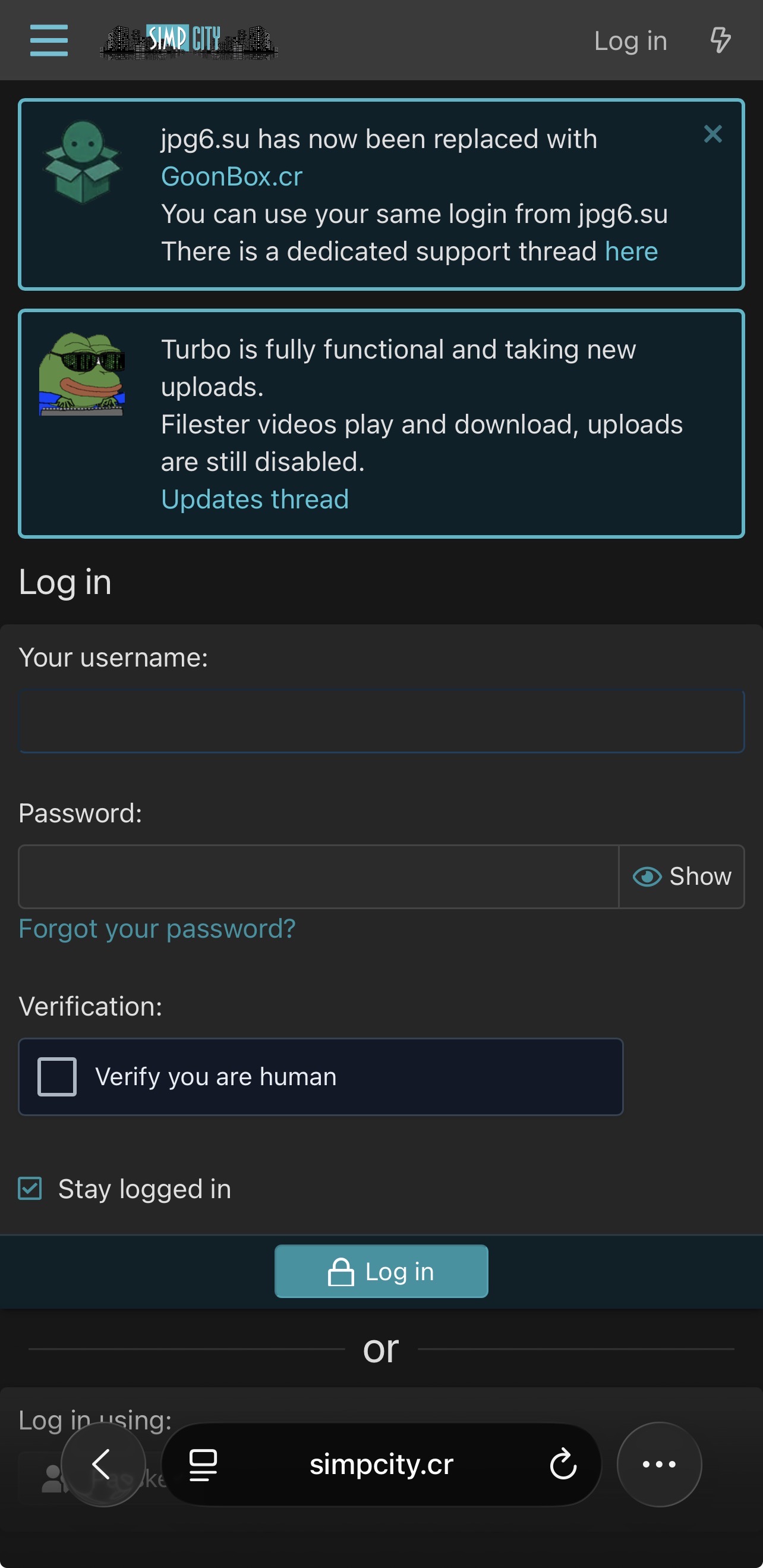 788684-03bb9d2d317a.jpeg