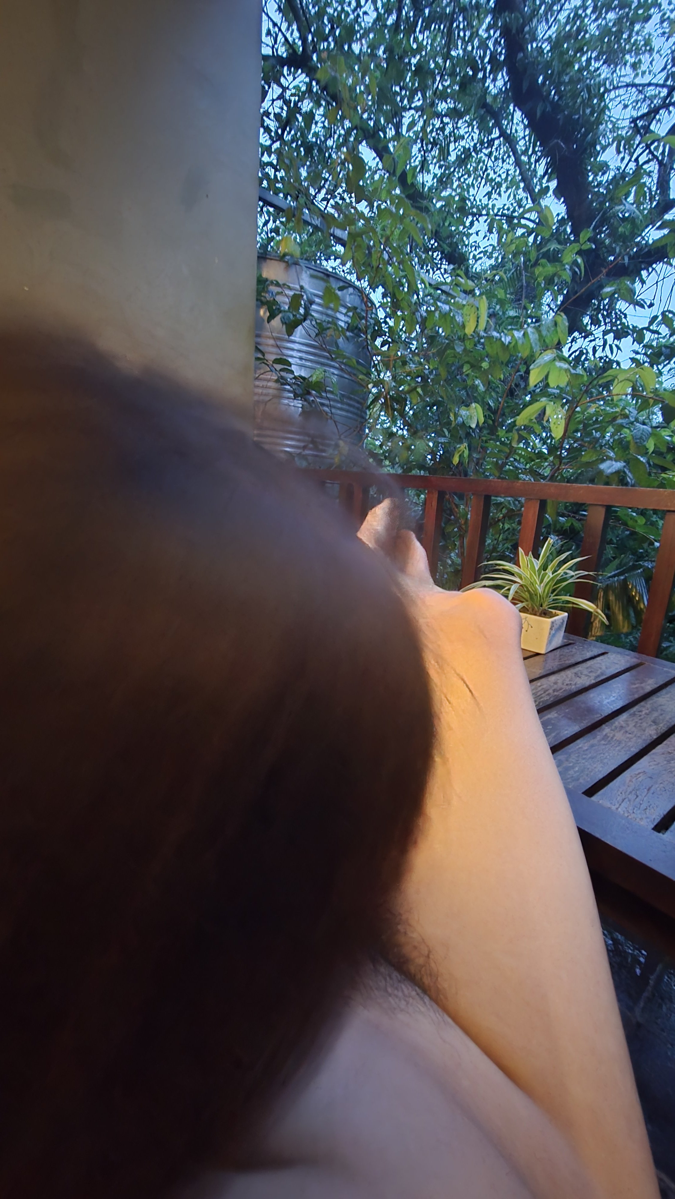 793555-085b8d88a7f2.jpg