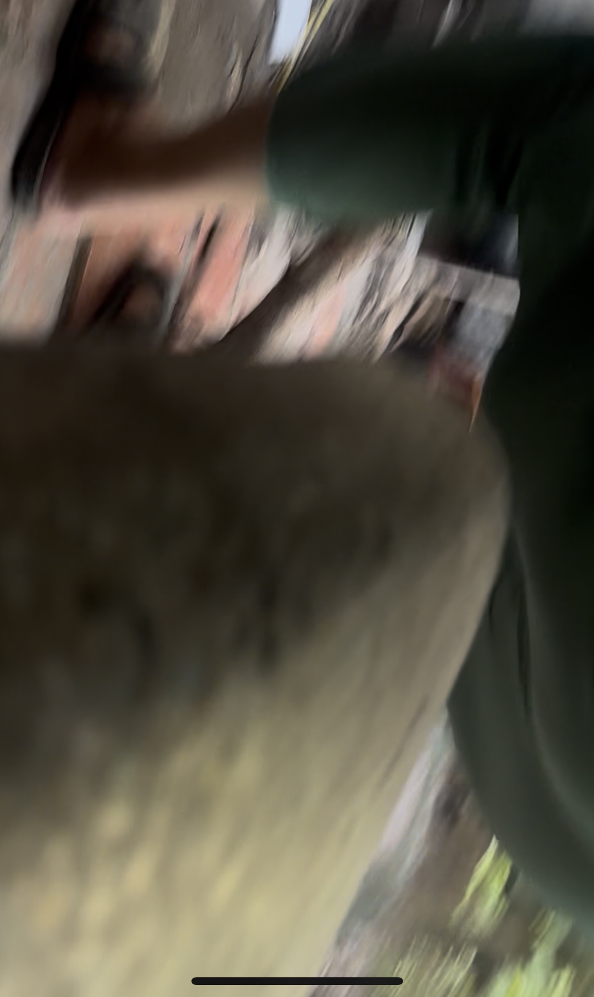 798567-f522f092885c.jpeg