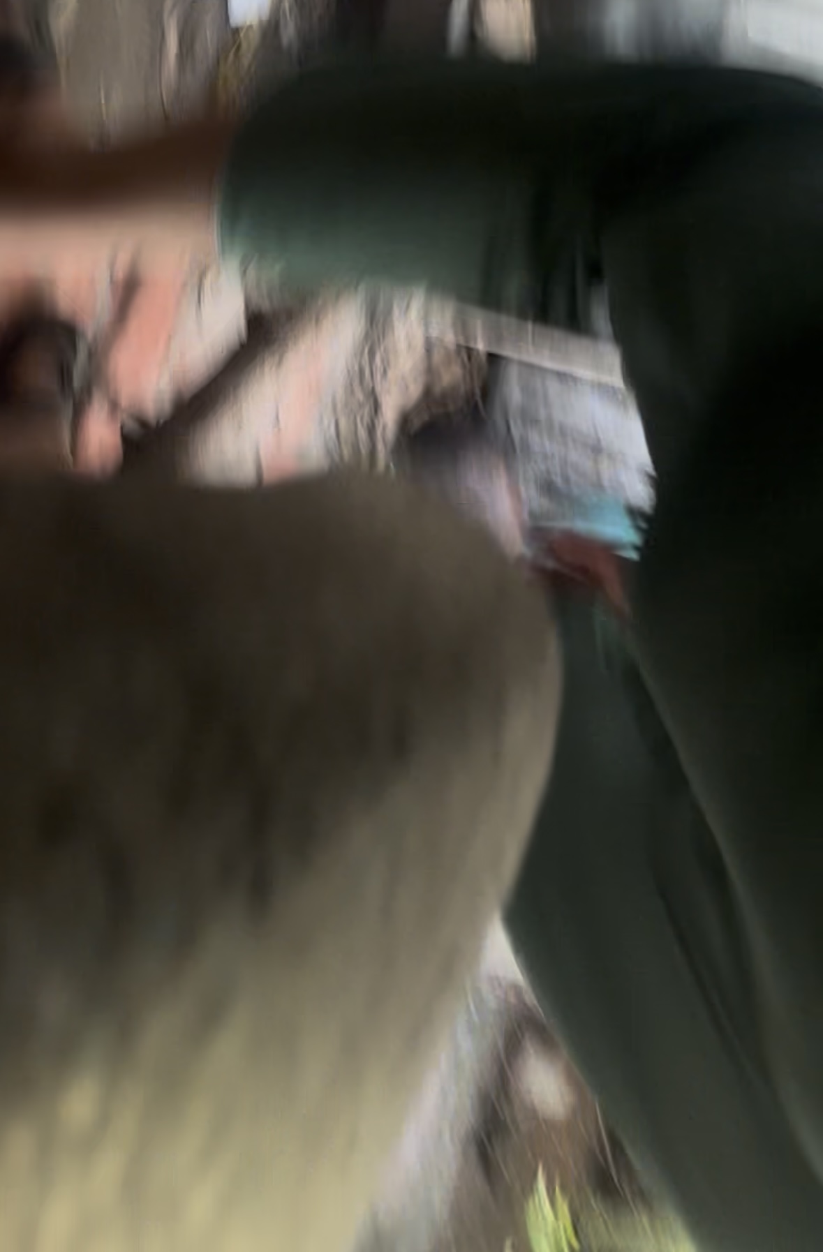 798568-9172de2cb3f6.jpeg