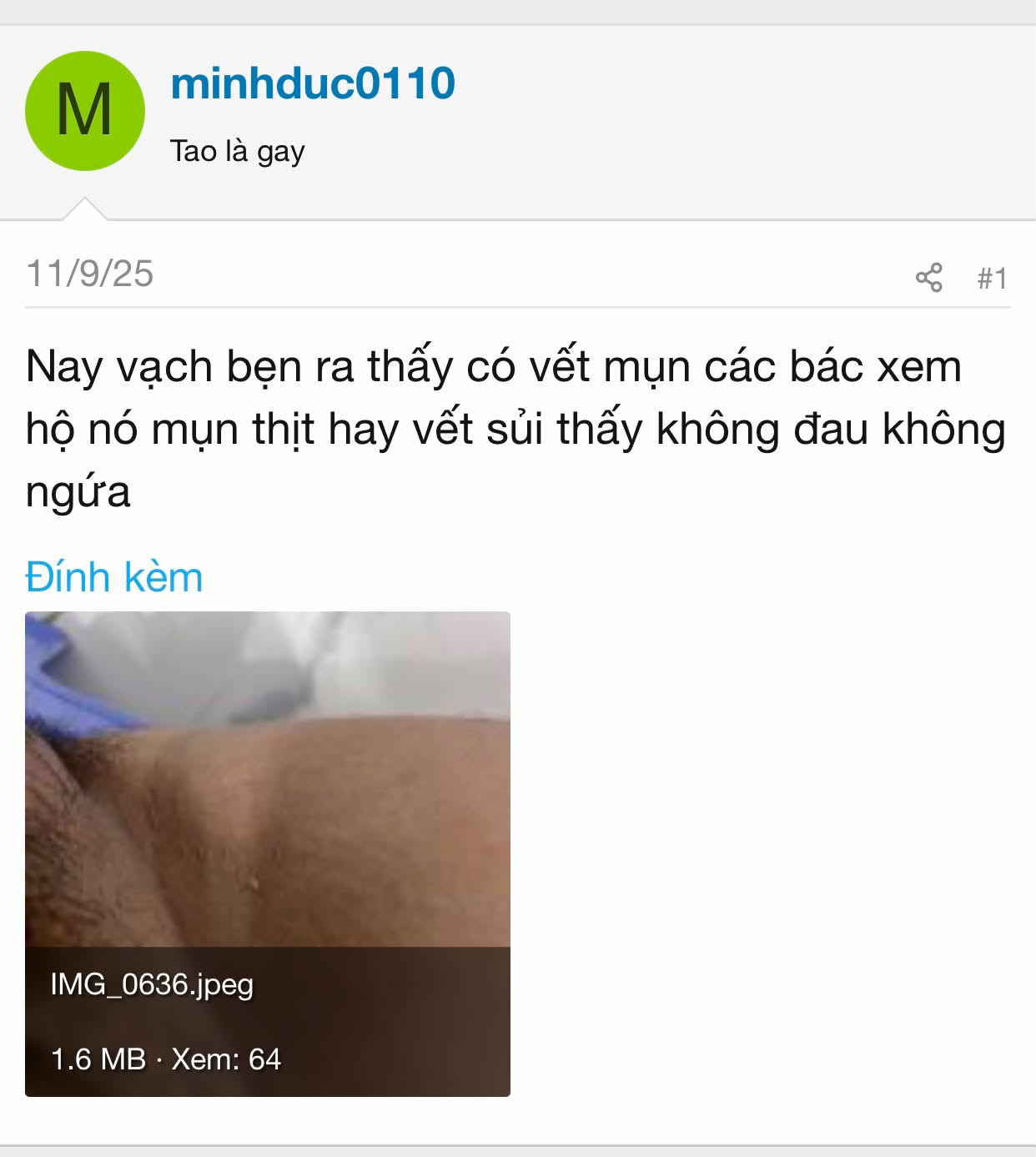 805198-ec94bdf13be4.jpeg