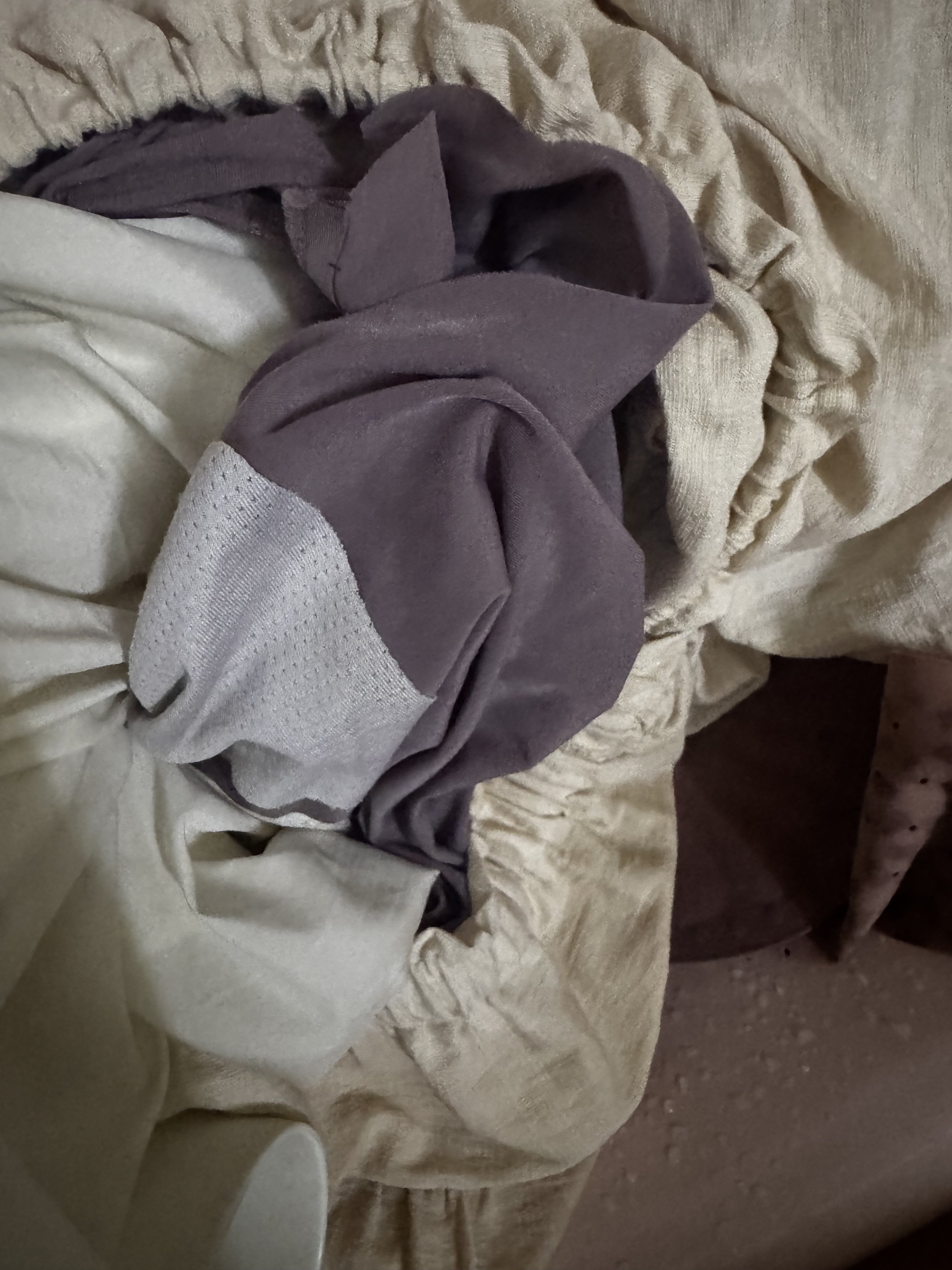 808113-9aaf63a90928.jpeg