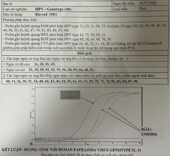 809764-c229b3f54b8a.png