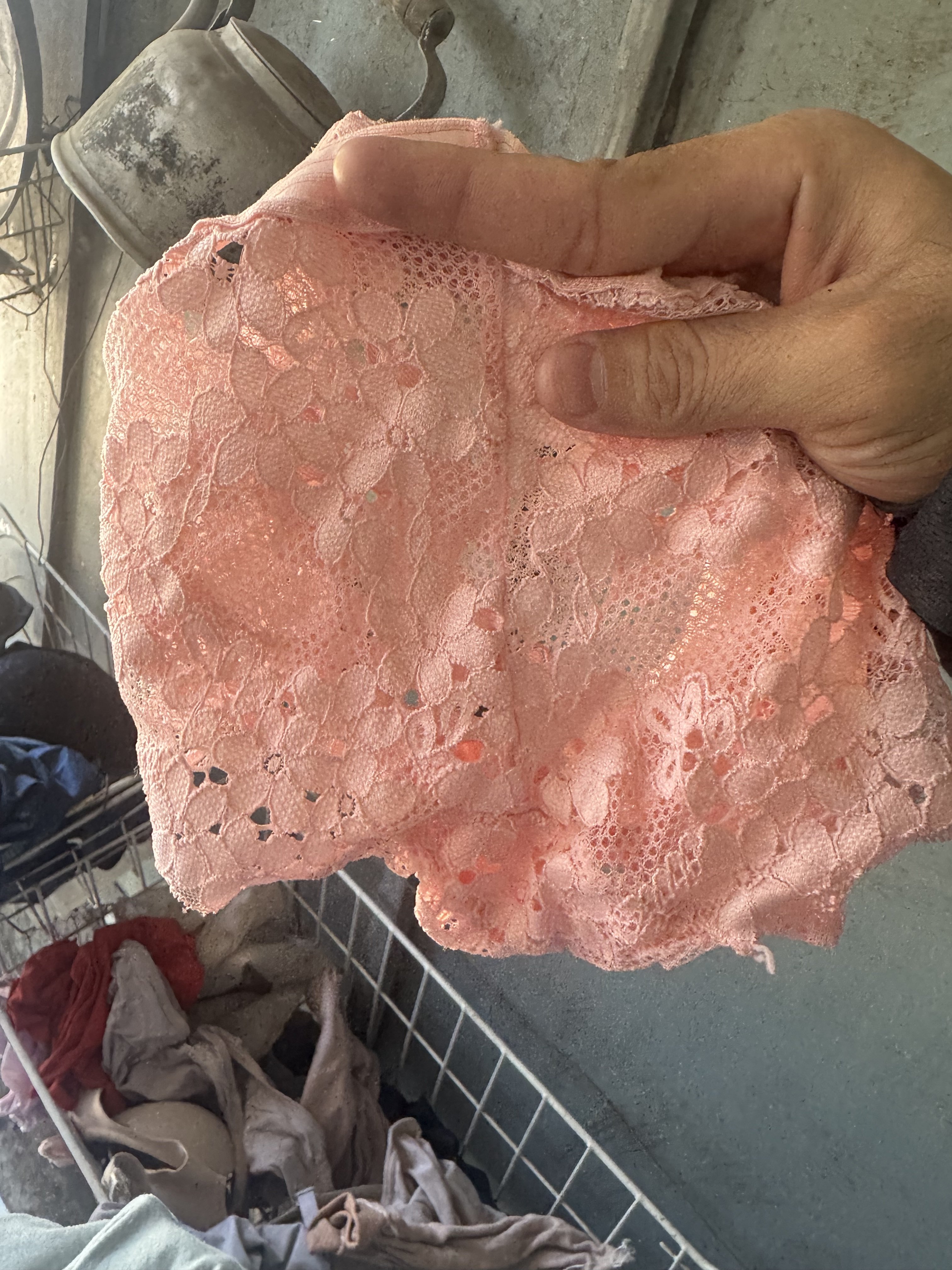 813045-8d438e26c2fe.jpeg
