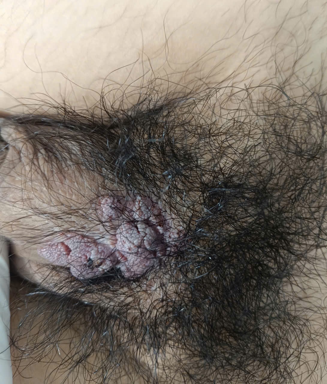 816458-89cd4a98b489.jpg