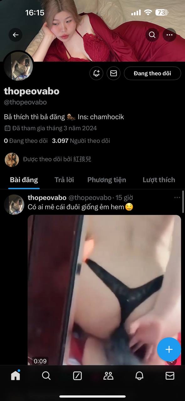 824088-c93bd47e0850.jpeg