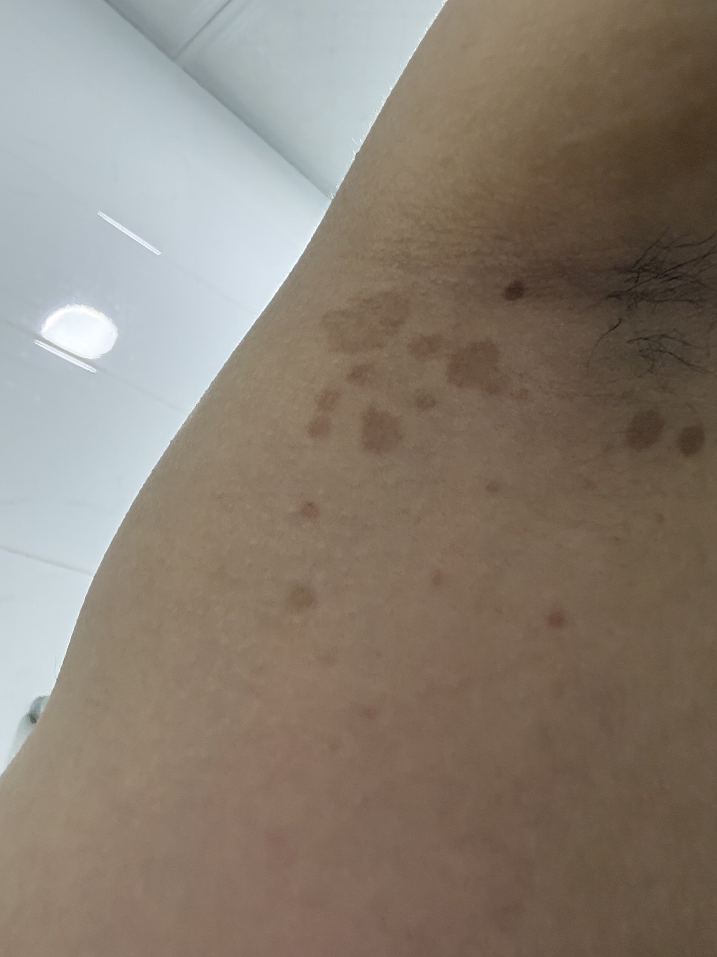 832229-d4e606581037.jpeg