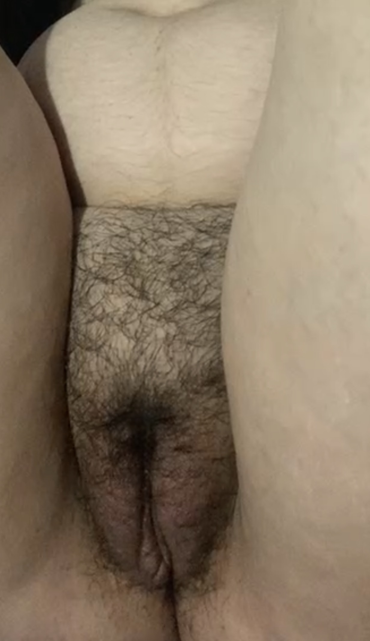 832243-cdd0619d3c65.jpeg